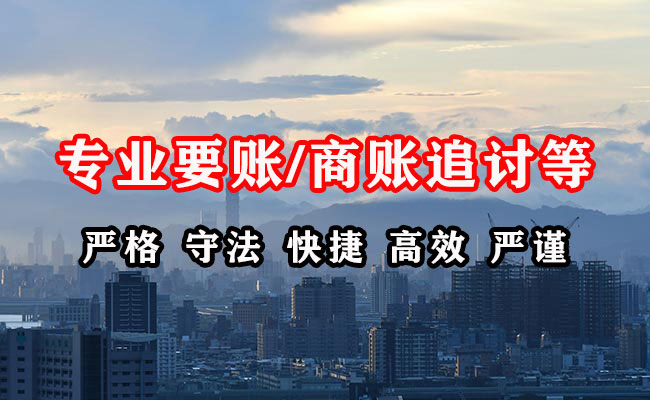 谯城清账公司